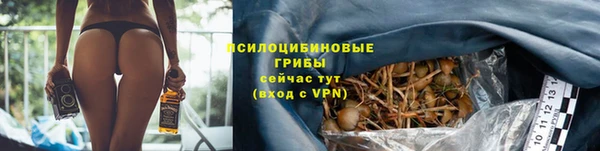 мяу мяу мука Зеленодольск