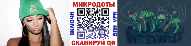 Купить где  Данилов  Псилоцибиновые грибы Magic Shrooms 